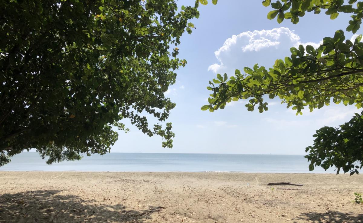 หาดยาว