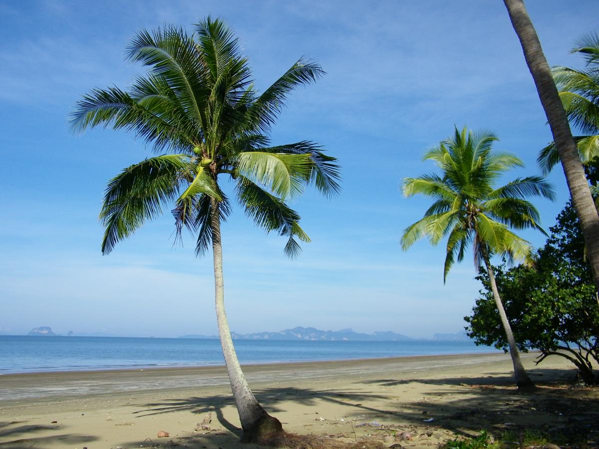 สถานที่ท่องเที่ยวตำบลตลิ่งชัน หาดยาว