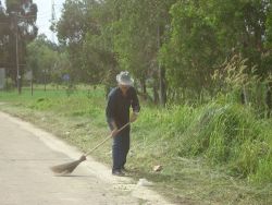 Big Cleaning Day 5 ธันวามหาราช