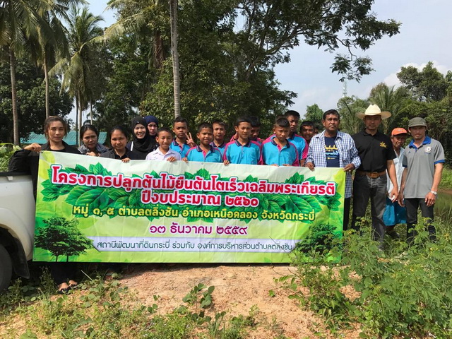 โครงการปลูกต้นไม้ยืนต้นโตเร็วเฉลิมพระเกียรติ ปีงบประมาณ 2560